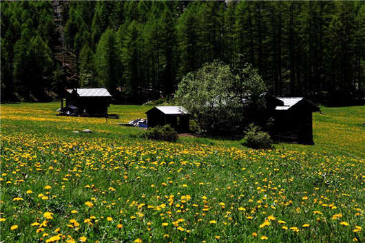 高含量文憑,優(yōu)秀教育體制,德國(guó)留學(xué)為您帶來不一樣的體驗(yàn)! 高含量文憑,優(yōu)秀教育體制,德國(guó)留學(xué)為您帶來不一樣的體驗(yàn)!