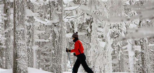 冬季低山脈運動 冬季低山脈運動