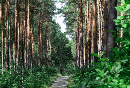 德國就業市場的十大事實與工作簽費用介紹 德國就業市場的十大事實與工作簽費用介紹