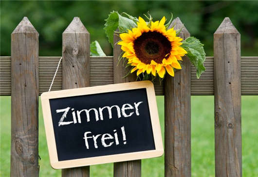 德國的哪些不大不小的問題