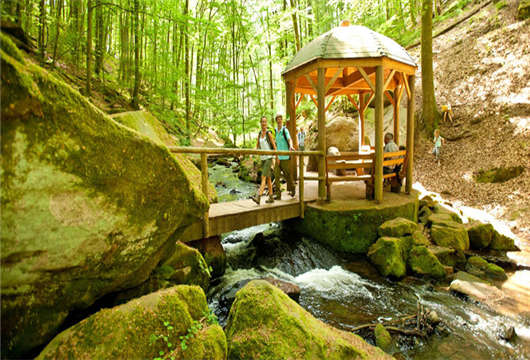 移民越來越受歡迎，但是還是需要“小心”