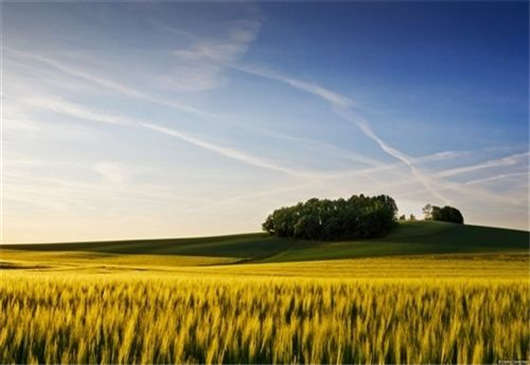 柏林的房屋建筑數(shù)量正在上升，房產(chǎn)投資刻不容緩