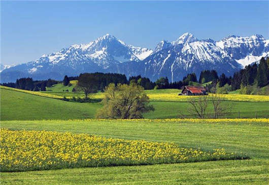 移民福利，豐厚的德國(guó)養(yǎng)老待遇