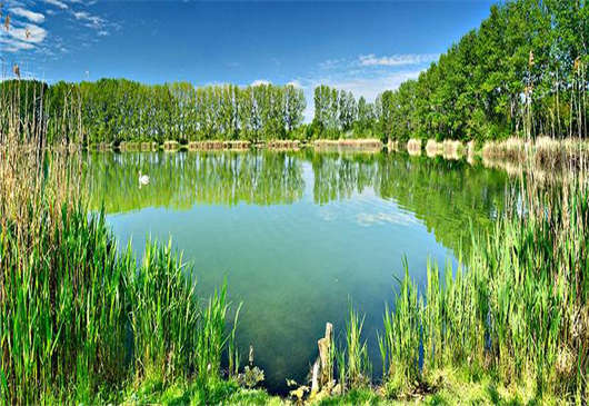 經(jīng)濟(jì)是基于什么發(fā)展過(guò)來(lái)的