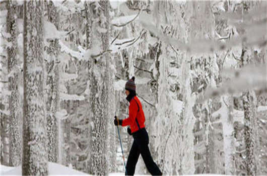 留學德國畢業難，解決這些您就可以成功！