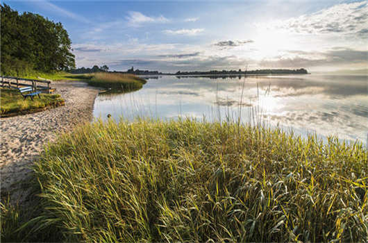 移民德國，不會德語能夠申請嗎？