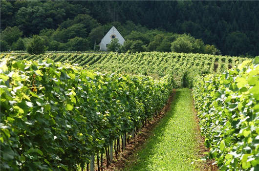 德國企業稅收您有必要了解一下! 德國企業稅收您有必要了解一下!