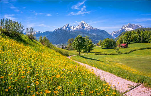 2020年3月1日新德國移民政策開始實行，什么專業(yè)最受歡迎那？