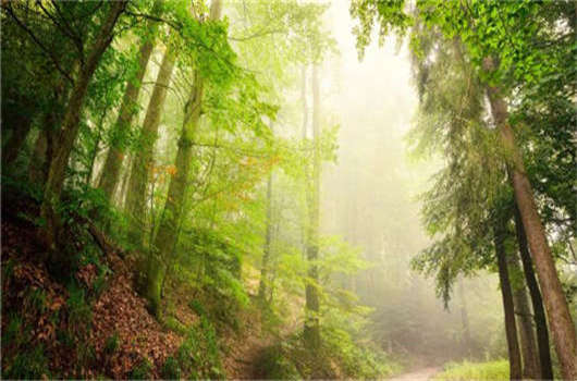 德國移民入籍條件介紹，該如何申請德國永居那？