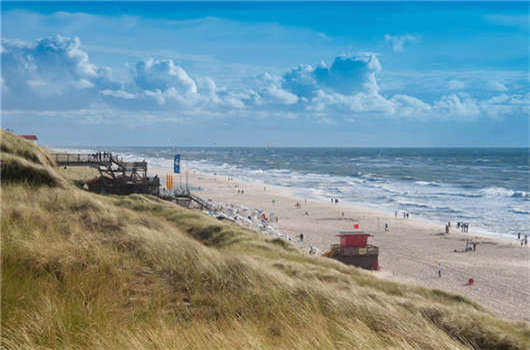 1591586470573699.jpg 21.jpg