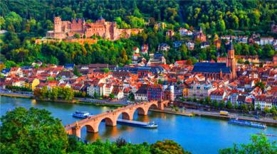 1593164832396064.jpg 1.jpg