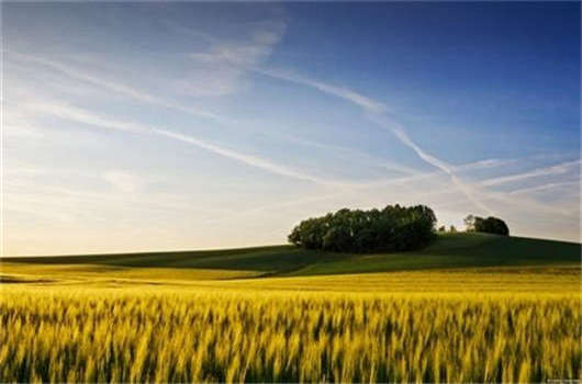 德國留學費用要多少？之后德國護照如何辦理？