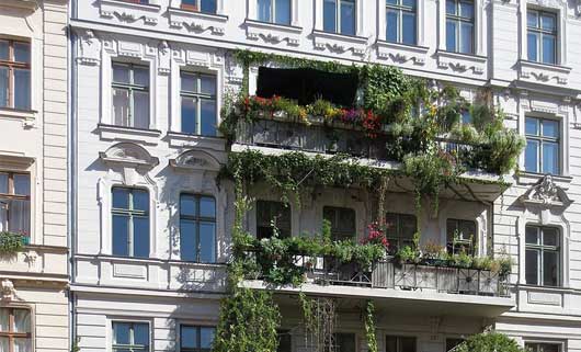 1634288784125786.jpg 1.jpg