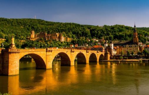 1644311205119473.jpg 1.jpg